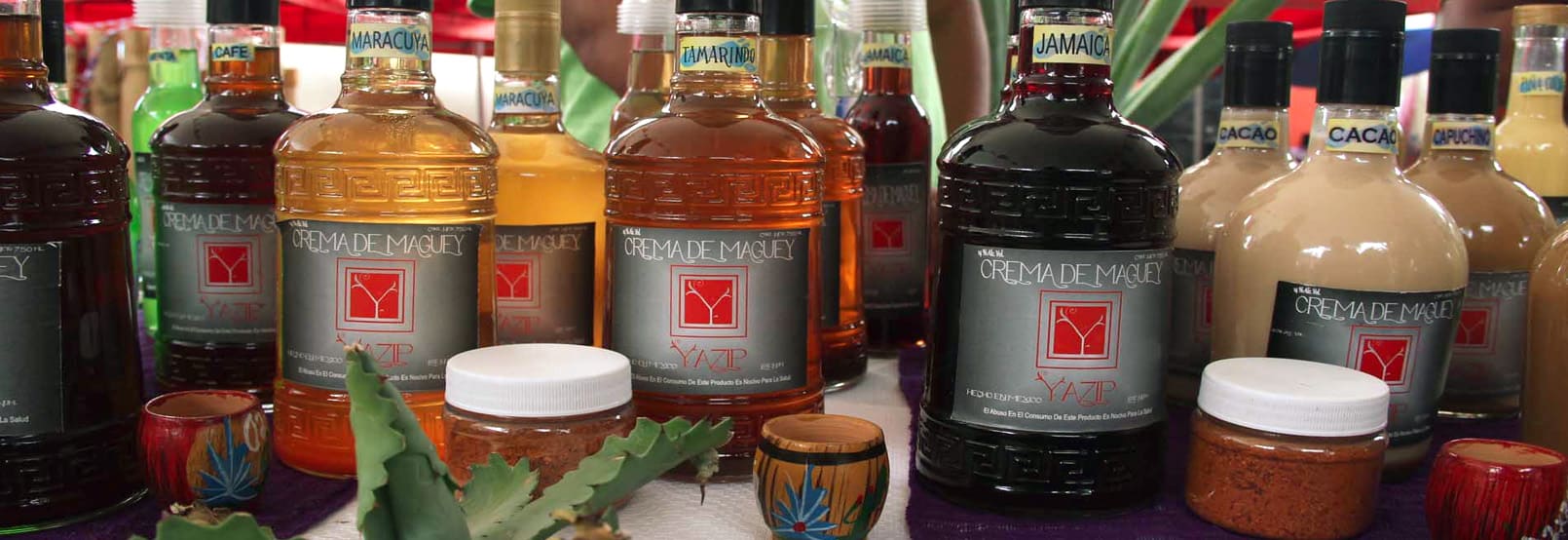 RUTA DEL MEZCAL EN OAXACA